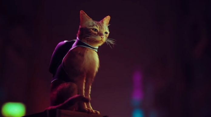 Stray screengrab