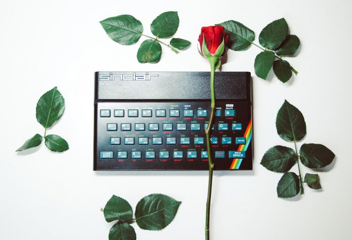 Red rose on ZX Spectrum computer